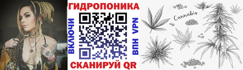 как найти наркотики Лермонтов Бошки марихуана SATIVA & INDICA